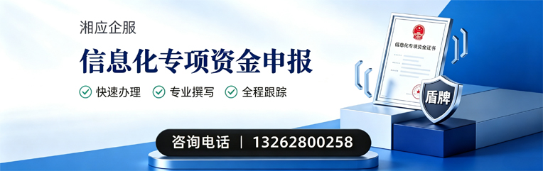 济宁信息化专项资金申报服务
