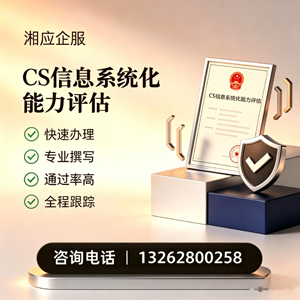 济宁CS信息系统化能力评估申报服务
