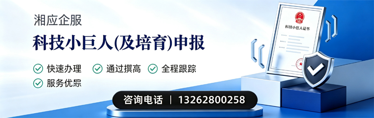 济宁科技小巨人及培育企业申报服务