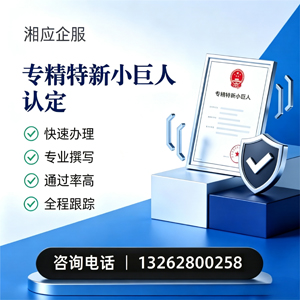 济宁专精特新小巨人申报服务