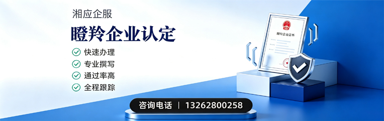 济宁瞪羚企业认定申报服务