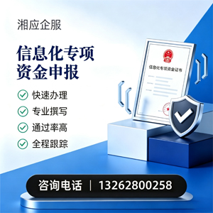 济宁信息化专项资金申报服务