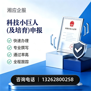 济宁科技小巨人及培育企业申报服务