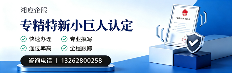 济宁专精特新小巨人申报服务